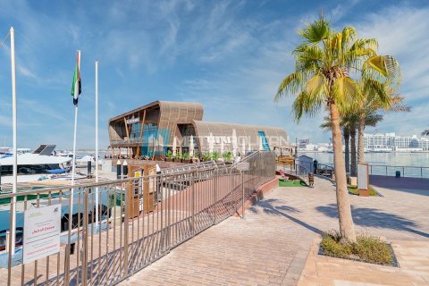 Apartment de 1 dormitorio en Al Raha Beach, UAE No. 62345 20