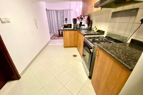 Appartement de 1 chambre à Dubai Sports City, UAE No. 186235 4