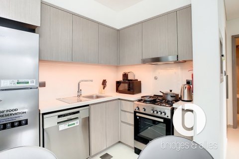 Appartement de 1 chambre à Downtown Dubai (Downtown Burj Dubai), UAE No. 163368 14
