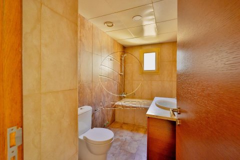 Villa de 5 chambres à Abu Dhabi, UAE No. 91234 7