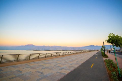 Земельный участок 997м²  №124257 16