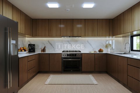 4 bedrooms Townhouse in Khalifa City, UAE No. 151309 13