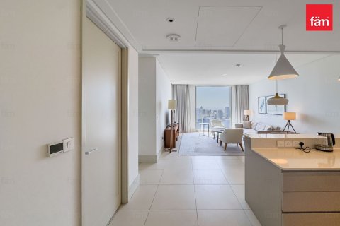 Квартира с 1 спальней в Даунтаун Дубай (Даунтаун Бурдж Дубай), ОАЭ №147601 8