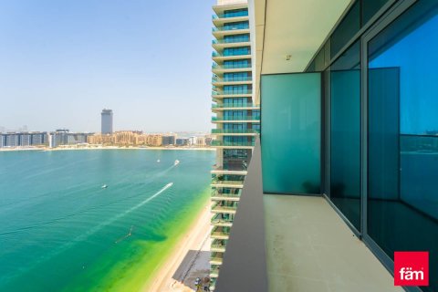2 bedrooms Apartment in Dubai Harbour, UAE No. 163280 3