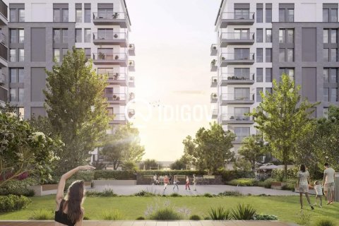 Studio Apartment in Al Khan, UAE No. 184641 14