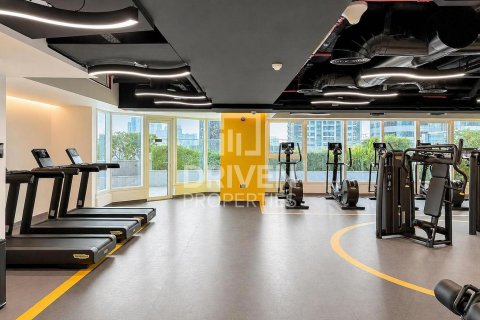 Studio Apartment in Jumeirah Lake Towers, UAE No. 207048 17