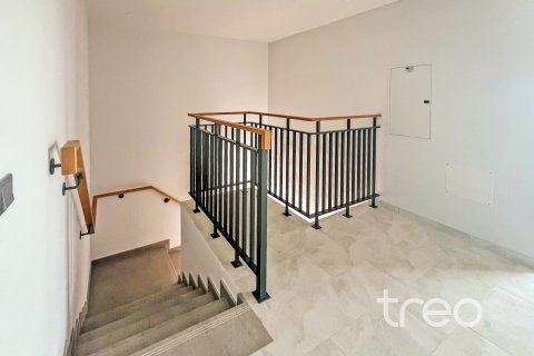 Townhouse de 4 chambres à Villanova, UAE No. 203859 27