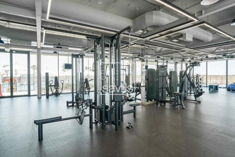 Studio Apartment on the Yas Island, UAE No. 194878 10