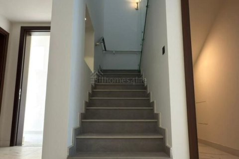 4 bedrooms Villa in District 11, UAE No. 156258 6