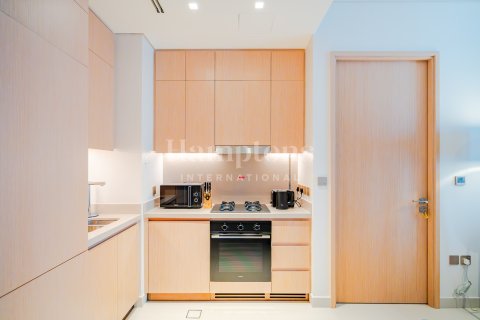1 bedroom Apartment in Downtown Dubai (Downtown Burj Dubai), UAE No. 210205 12