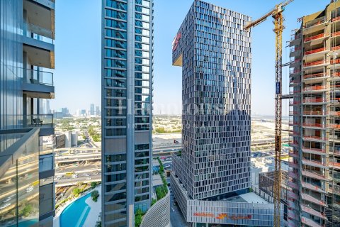 1 bedroom Apartment in Downtown Dubai (Downtown Burj Dubai), UAE No. 210205 19