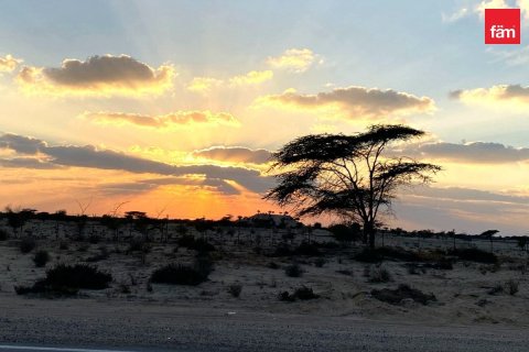 Land de 968.7m² en Jebel Ali, UAE No. 161869 9