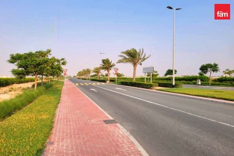 Земельный участок 992м² в Джабаль-Али, ОАЭ №147808 10