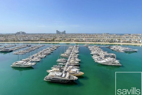 2 bedrooms Apartment in Tiara Residences, UAE No. 194733 13