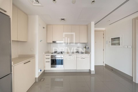 1 bedroom Apartment in Downtown Dubai (Downtown Burj Dubai), UAE No. 190677 10