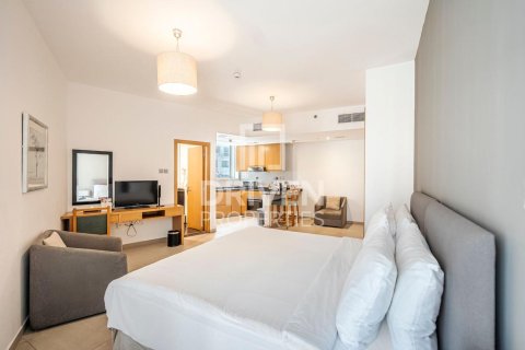 Studio Apartment in Barsha Heights (Tecom), UAE No. 190865 3