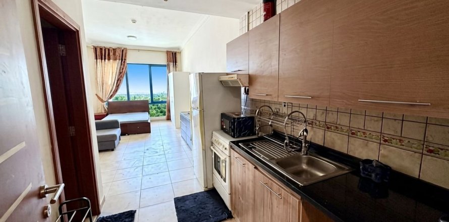 Apartamento tipo estudio Estudio en Dubai, UAE No. 169370