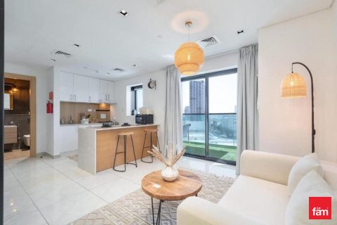 Studio Apartment in Dubai, UAE No. 169677