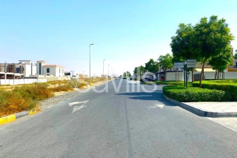 944.1m² Land in Al Tai, UAE No. 8936 9