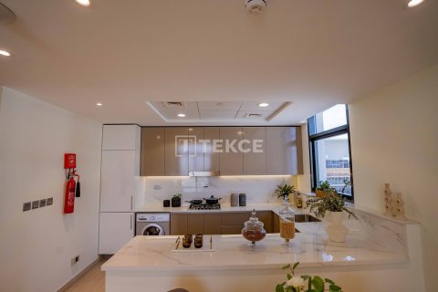 Studio Apartment in Meydan, UAE No. 172315 20