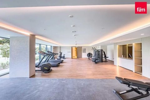 1 bedroom Apartment  No. 117555 23