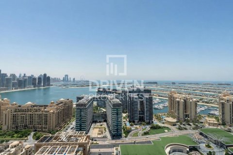Studio Apartment in The Palm Tower, UAE No. 201497 13