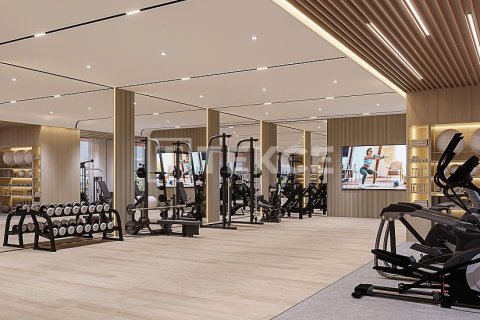 2 غرف نوم شقة في دائرة قرية جميرا, الإمارات العربية المتحدة رقم 151346 3