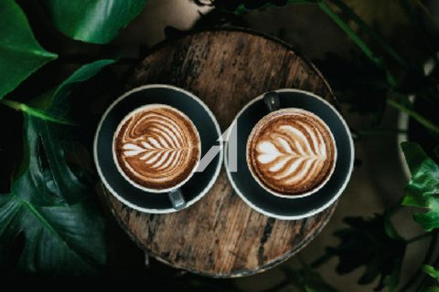 Cafe / restaurant de 115.5m²  No. 120021 8