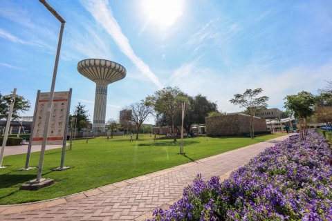 1 bedroom Apartment No. 127853 6