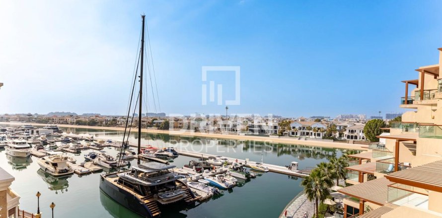 Studio Apartment in Palm Views, UAE No. 189720