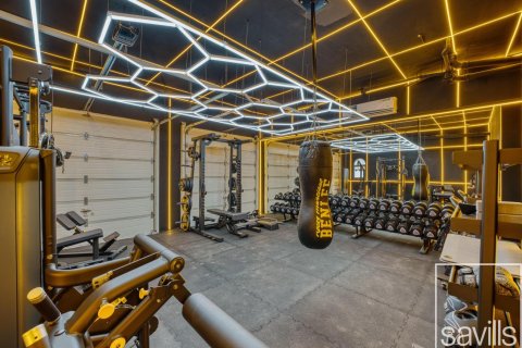 5 غرفة نوم  فيلا في Garden Homes, الإمارات العربية المتحدة رقم 136415 25