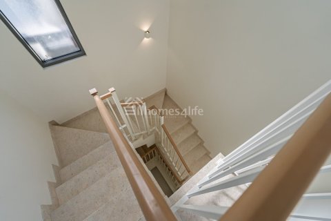 4 bedrooms Villa in The Pulse, UAE No. 137575 12