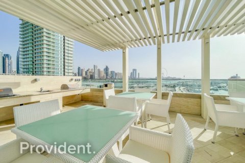 Appartement de 2 chambres à BEACH VISTA Dubai Harbour, UAE No. 96002 10
