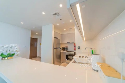 2 غرف نوم شقة في وسط مدينة دبي, الإمارات العربية المتحدة رقم 147430 13