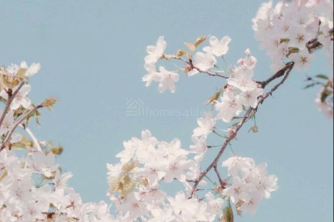 Apartment de 1 dormitorio en Falcon City of Wonders, UAE No. 145788 11