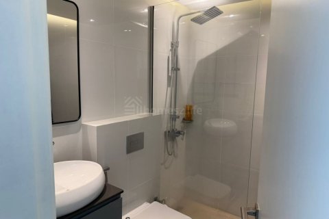 Квартира с 2 спальнями в Дубай, ОАЭ №146492 20