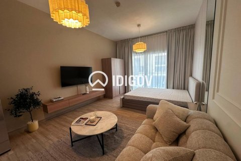 Studio Apartment in District 13, UAE No. 185260 10