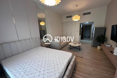 Studio Apartment in District 13, UAE No. 185260 12