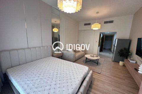 Studio Apartment in District 13, UAE No. 185260 14