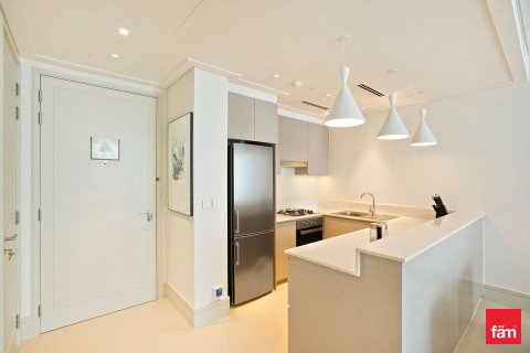 Apartment de 2 dormitorios en Downtown Dubai (Downtown Burj Dubai), UAE No. 165323 7