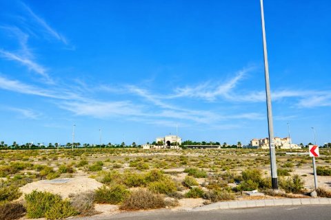 Land de 929m² à Jebel Ali, UAE No. 165320 9