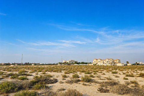 Land de 929m² à Jebel Ali, UAE No. 165320 5
