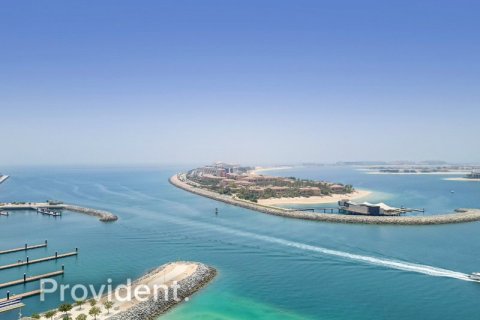 Apartment de 1 dormitorio en BEACH VISTA Dubai Harbour, UAE No. 96225 11