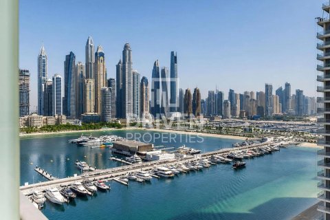 Appartement de 1 chambre à EMAAR Beachfront, UAE No. 204221 13