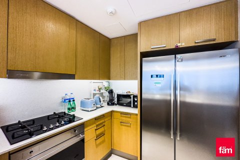 Apartment de 2 dormitorios en Downtown Dubai (Downtown Burj Dubai), UAE No. 210580 11