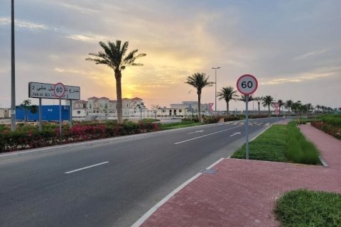 1081m² Land in Jebel Ali, UAE No. 168623 5