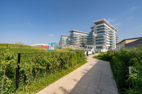 1 bedroom Apartment on the Yas Island, UAE No. 149756 19