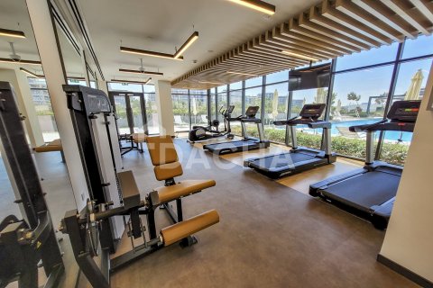 Apartment de 2 dormitorios en Park Ridge, UAE No. 165721 22