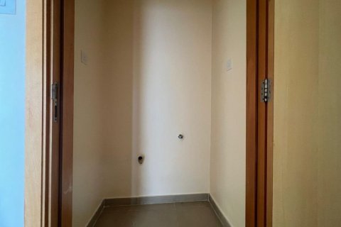 Квартира с 2 спальнями в Рас-эль-Хайма, ОАЭ №183760 12