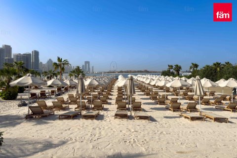 Квартира с 1 спальней в Пальма Джумейра, ОАЭ №145280 11